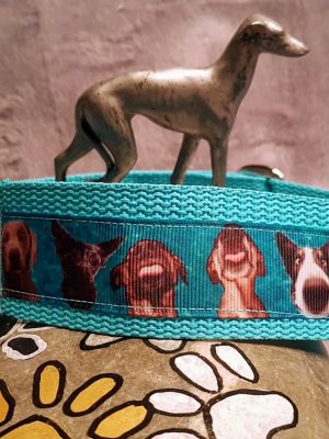 Collier chien Doggy Faces turquoise