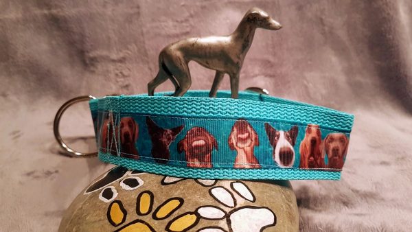 Collier chien Doggy Faces turquoise